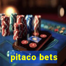 pitaco bets